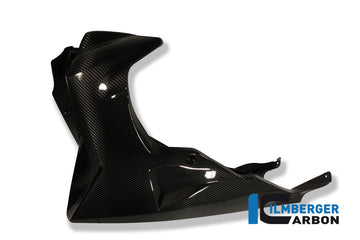 Ilmberger Carbon Fibre Bellypan for BMW K1300R 2008-22